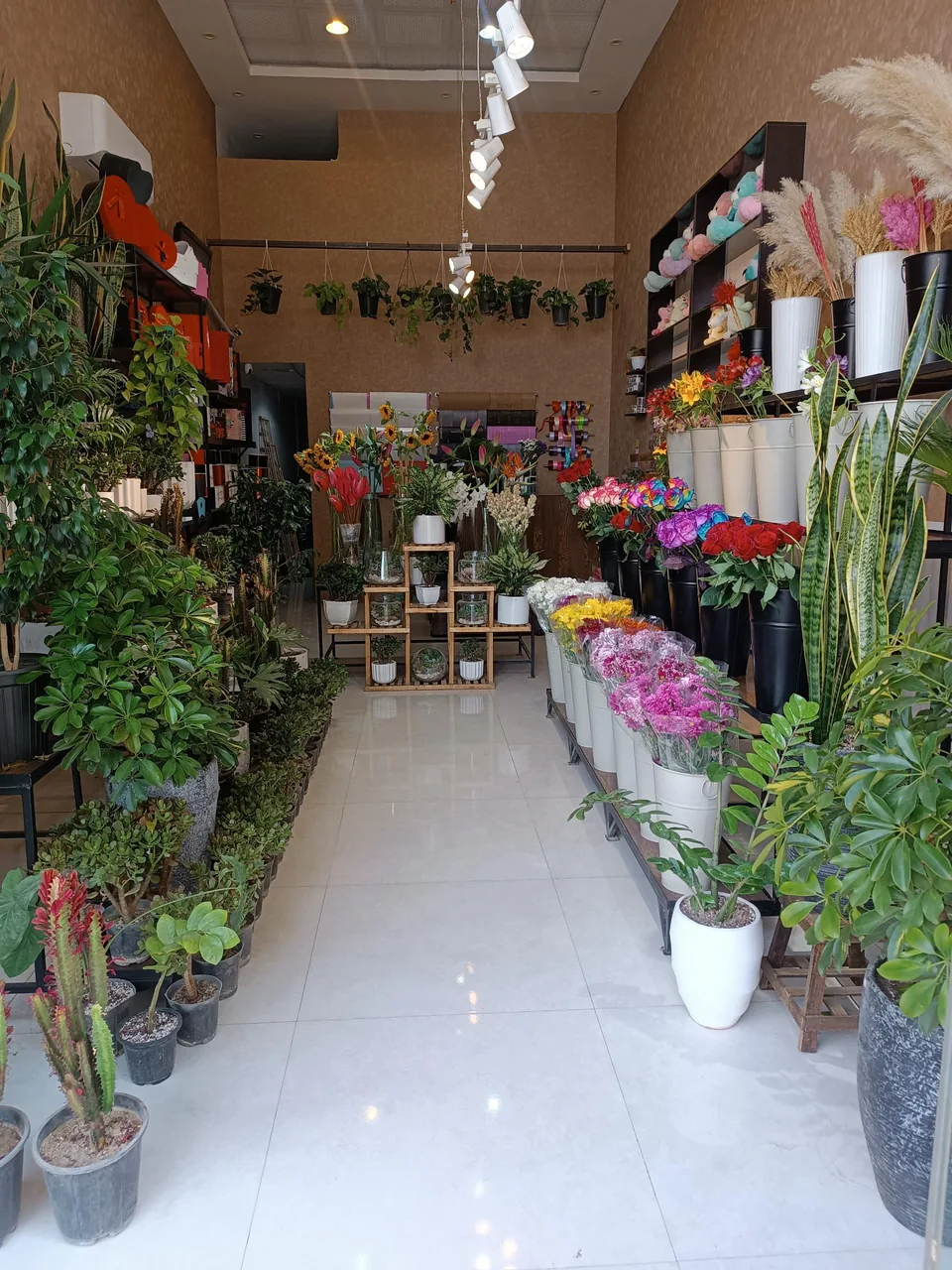 گل فروشی شکوفه - تصویر 4