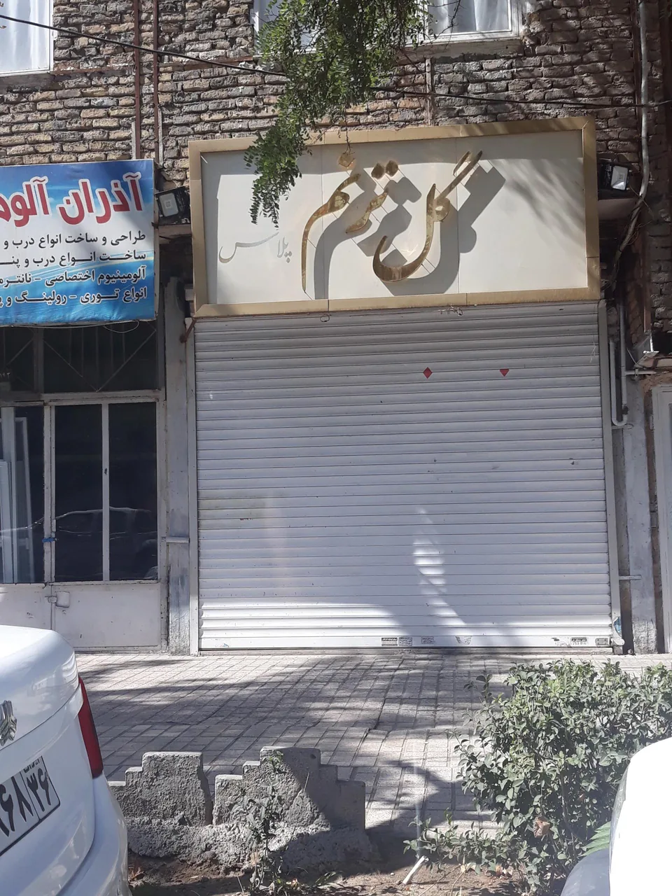 گل ترنم - تصویر 4