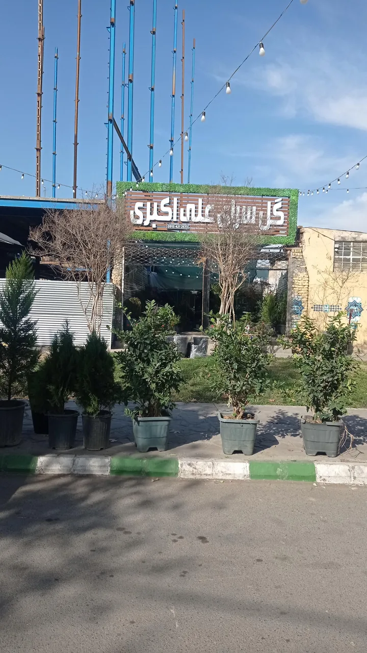 گل سرای علی اکبری - تصویر 5