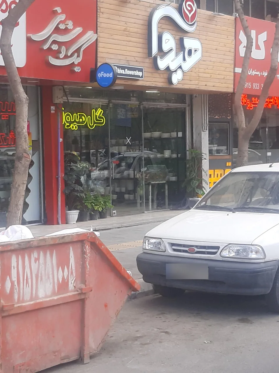 گل هیوا