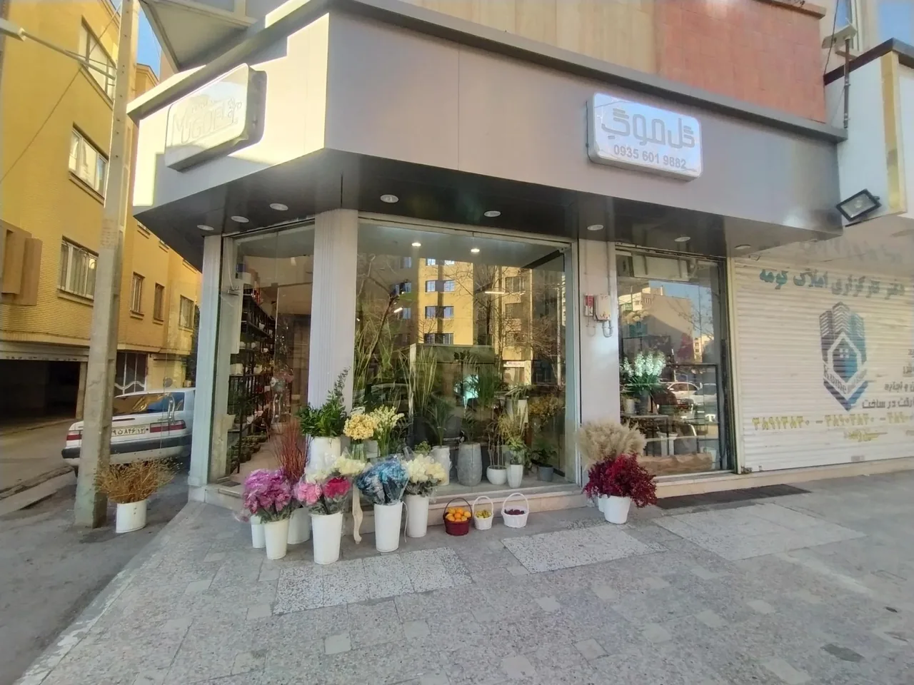 گالری گل شجاعی
