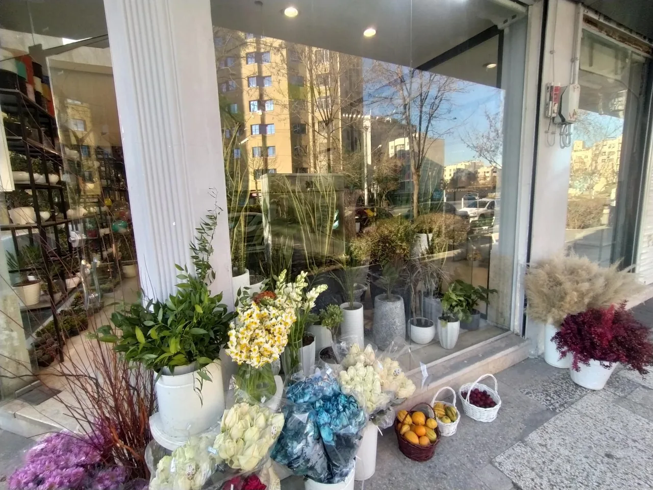 گالری گل شجاعی - تصویر 2