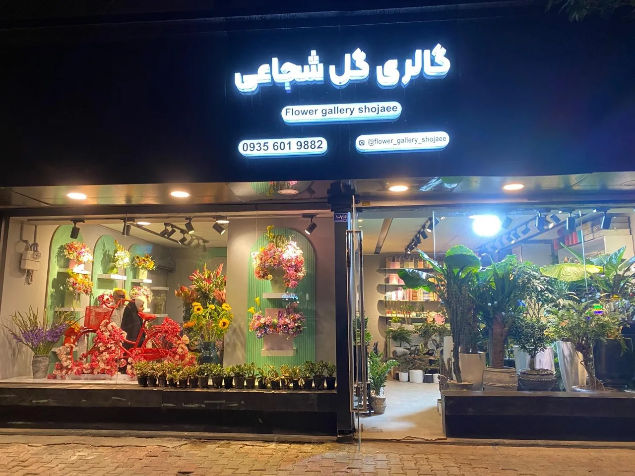 گالری گل شجاعی - تصویر 3