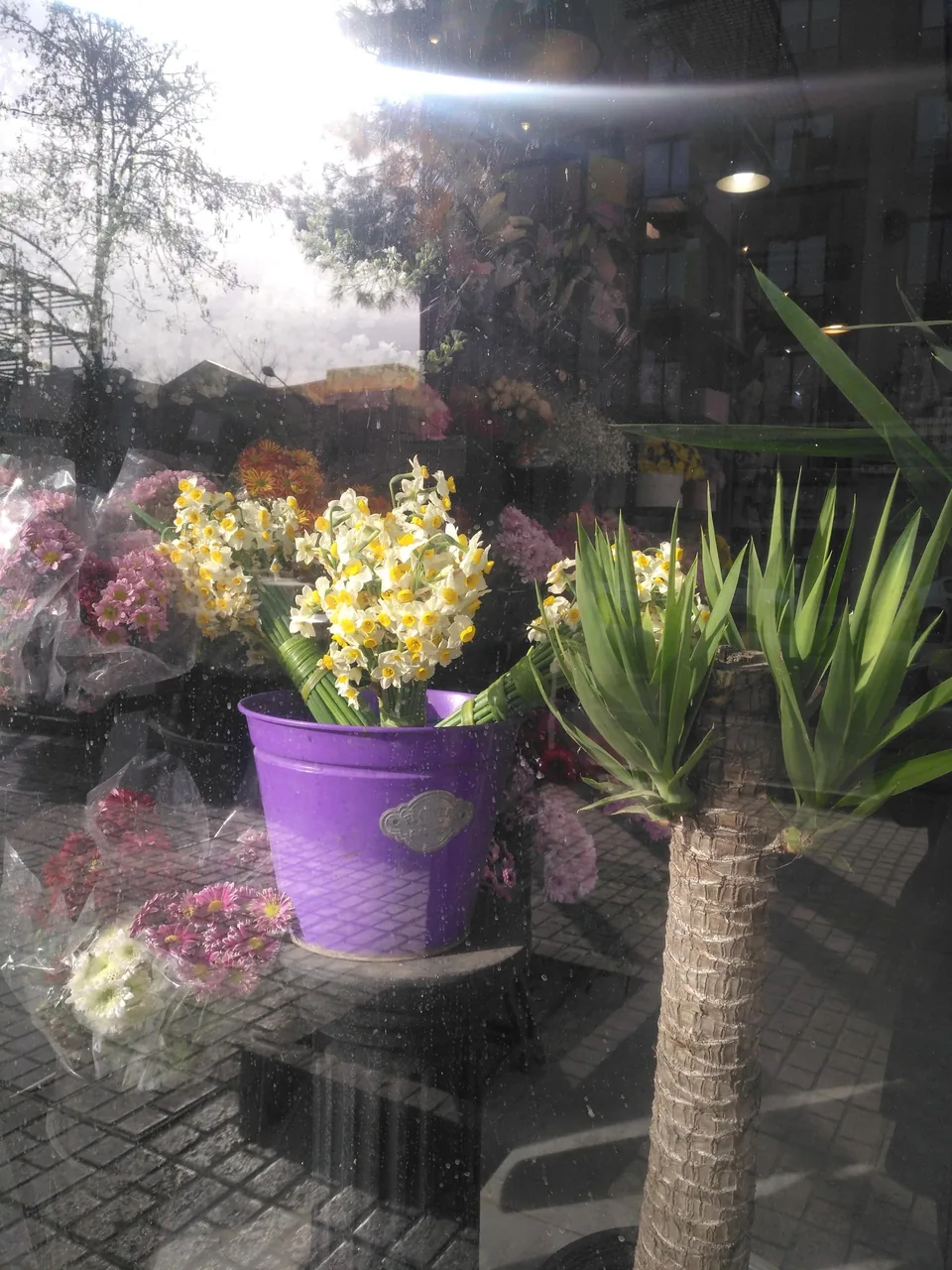 گلفروشی خانه گل - تصویر 4