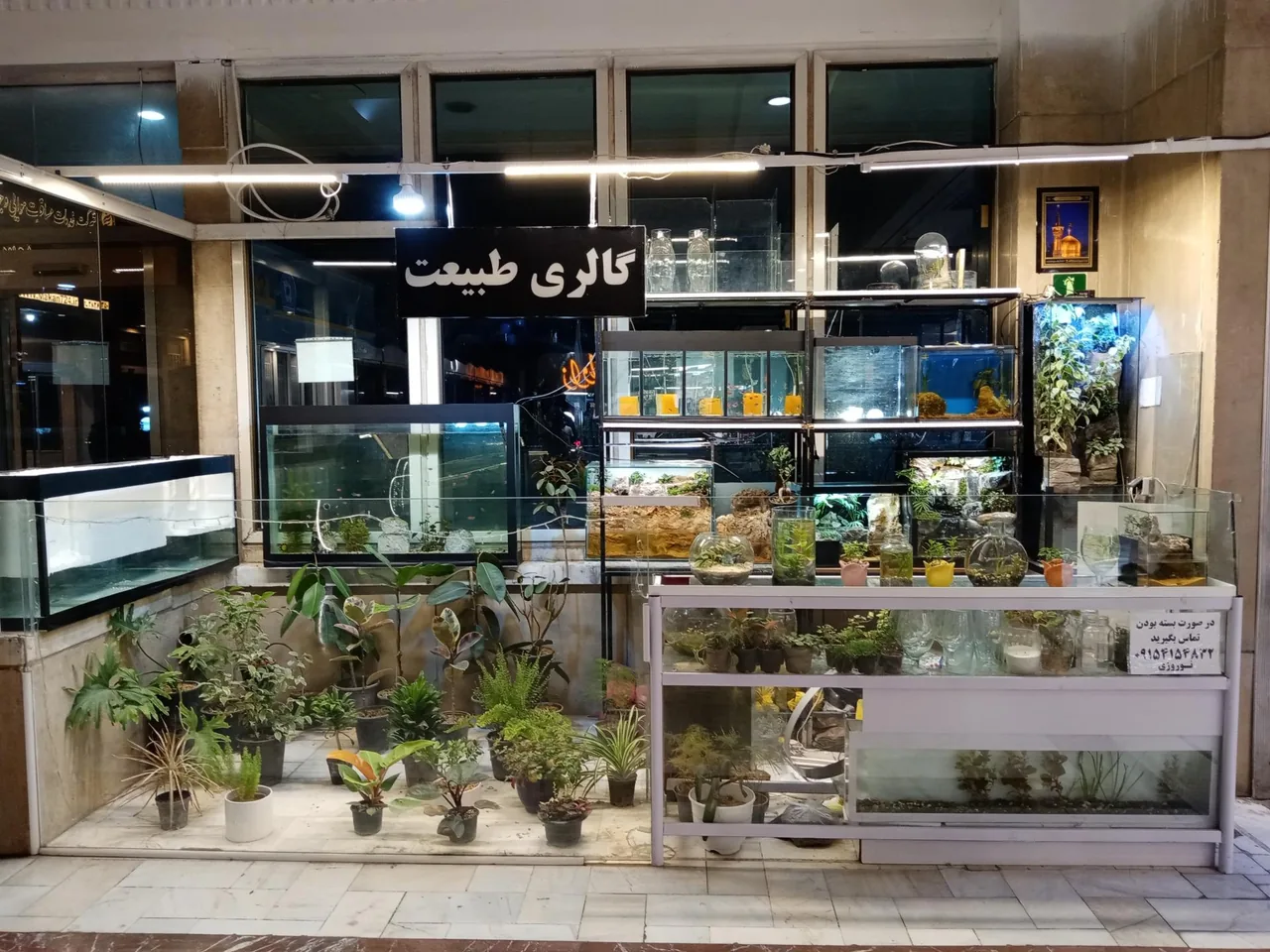 گالری طبیعت - تصویر 3