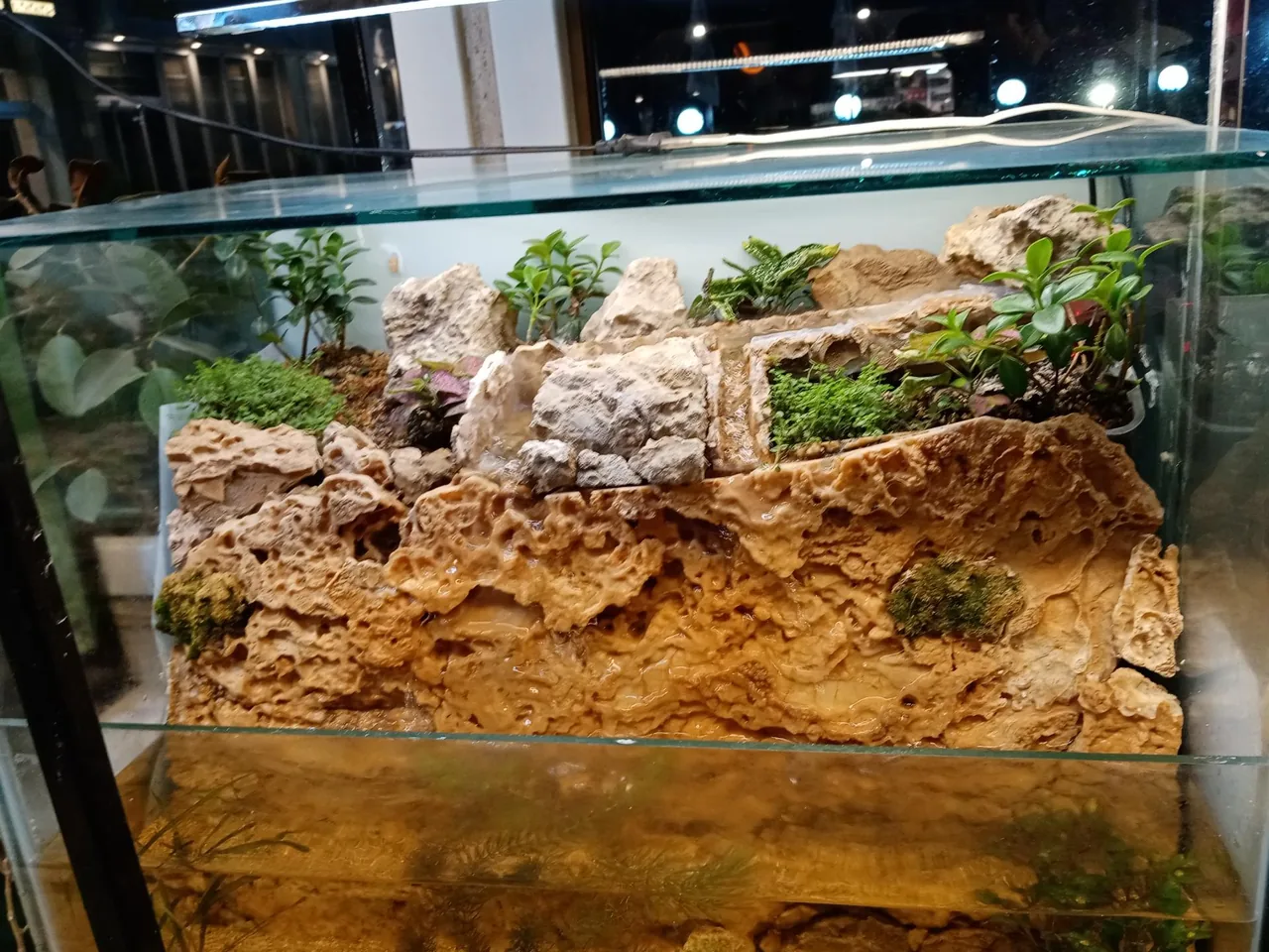 گالری طبیعت - تصویر 5