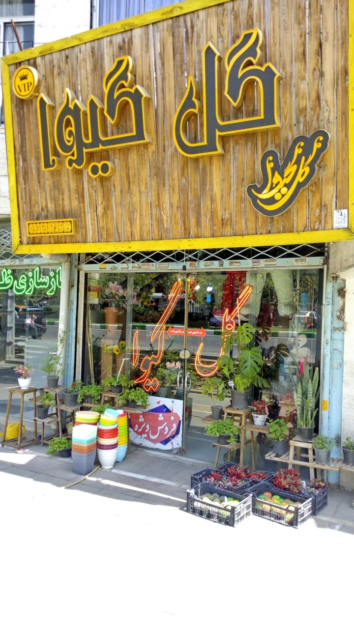 گل فروشی گیوا - تصویر 2