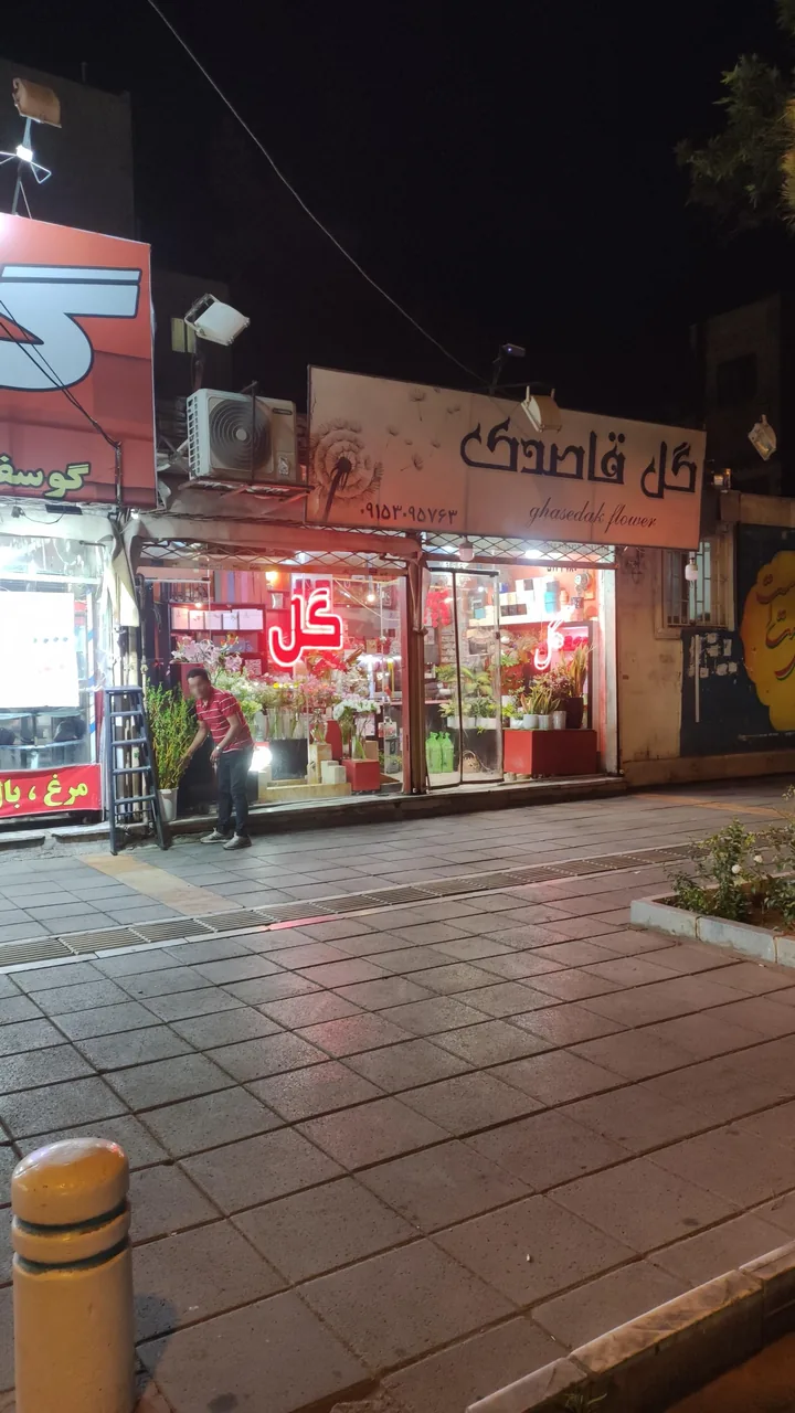 گل قاصدک - تصویر 2