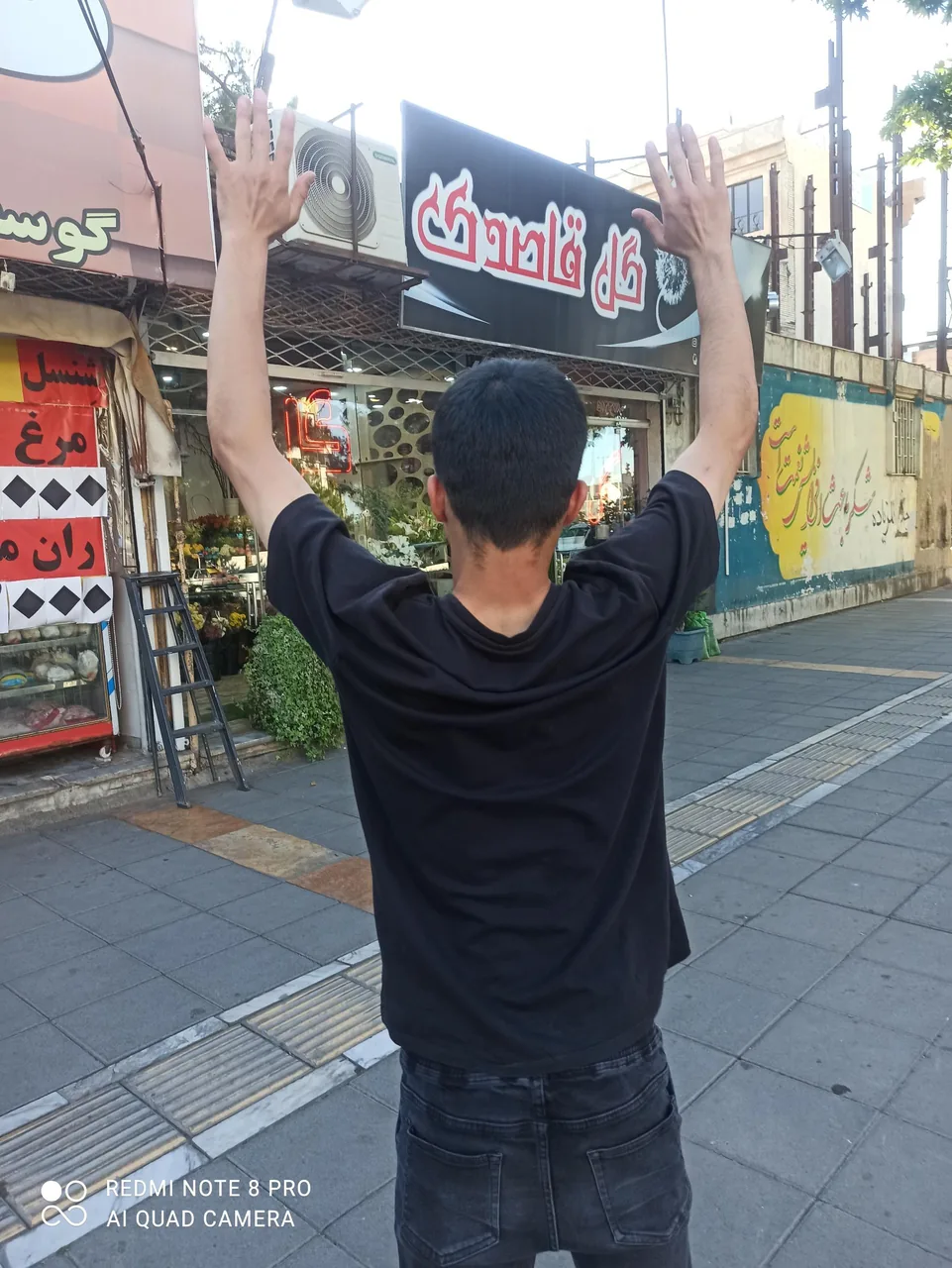 گل قاصدک - تصویر 5
