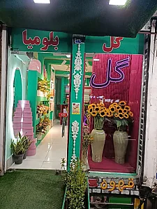 گل بلومیا