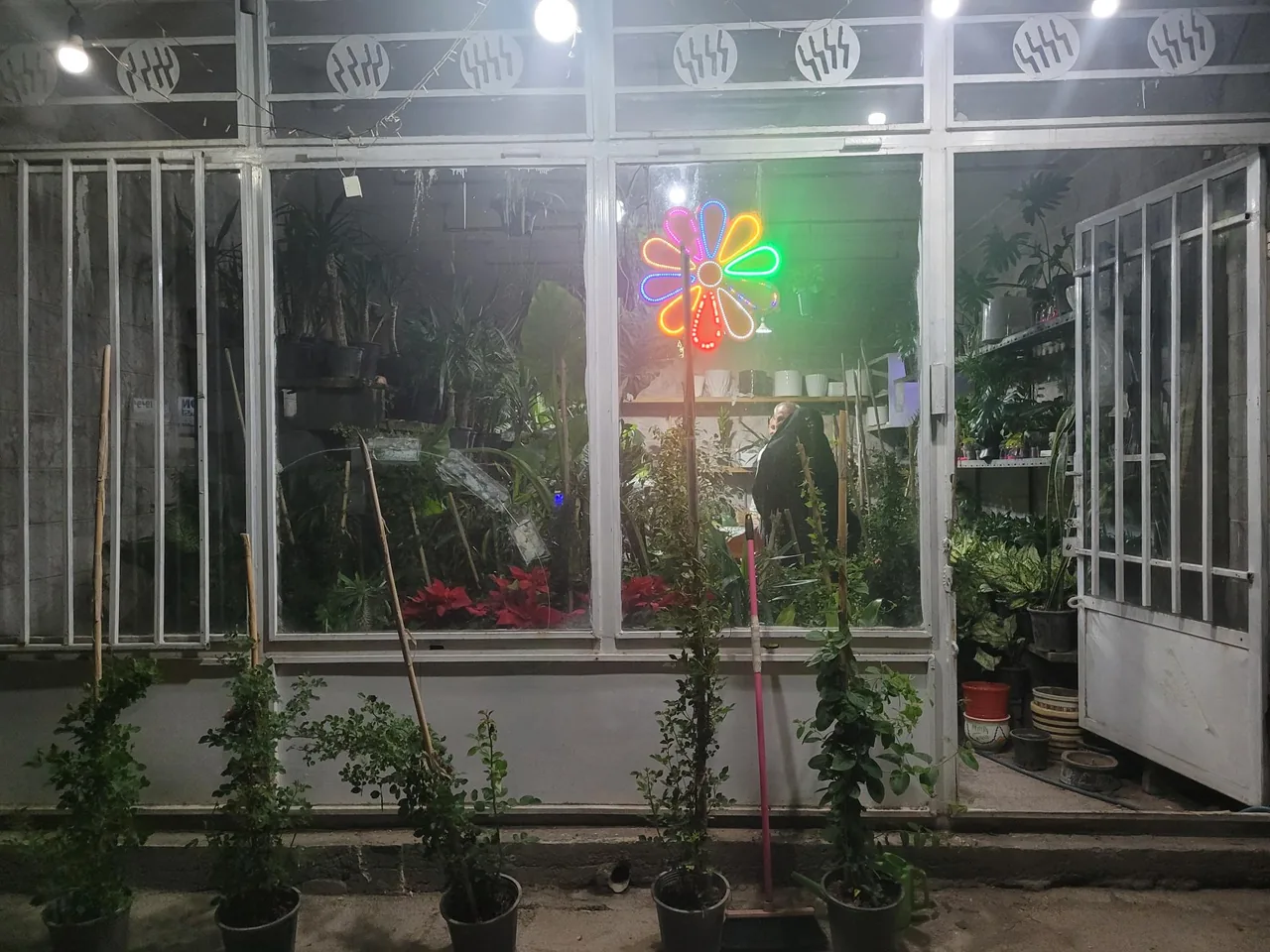 گل فروشی مزرعه آبشار طلا - تصویر 2