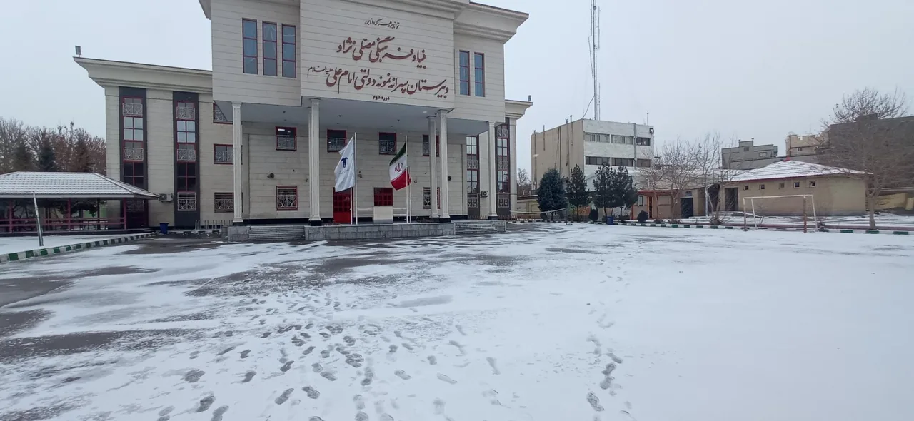 دبیرستان نمونه دولتی امام علی (ع) مصلی نژاد - تصویر 2