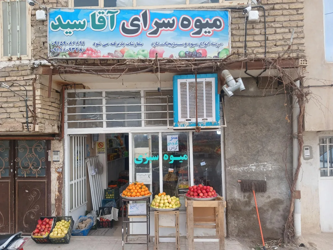 میوه سرای آقا سید - تصویر 3