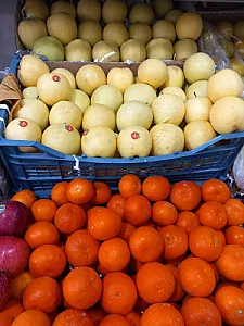 میوه فروشی رحیمی