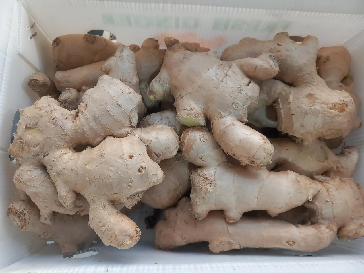 میوه فروشی رحیمی - تصویر 2