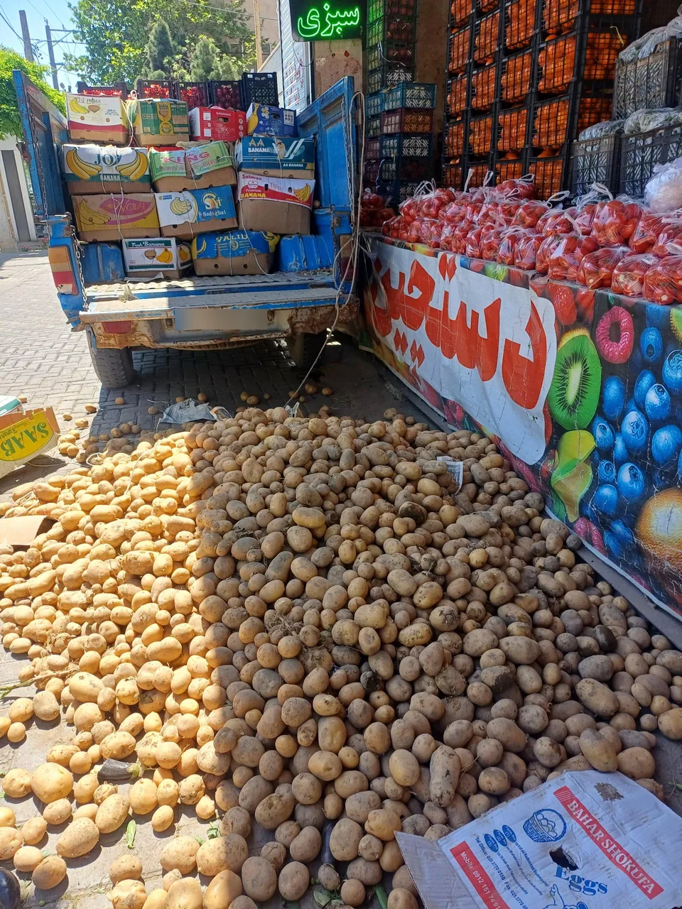 میوه سرای بزرگ قیمت شکن - تصویر 4