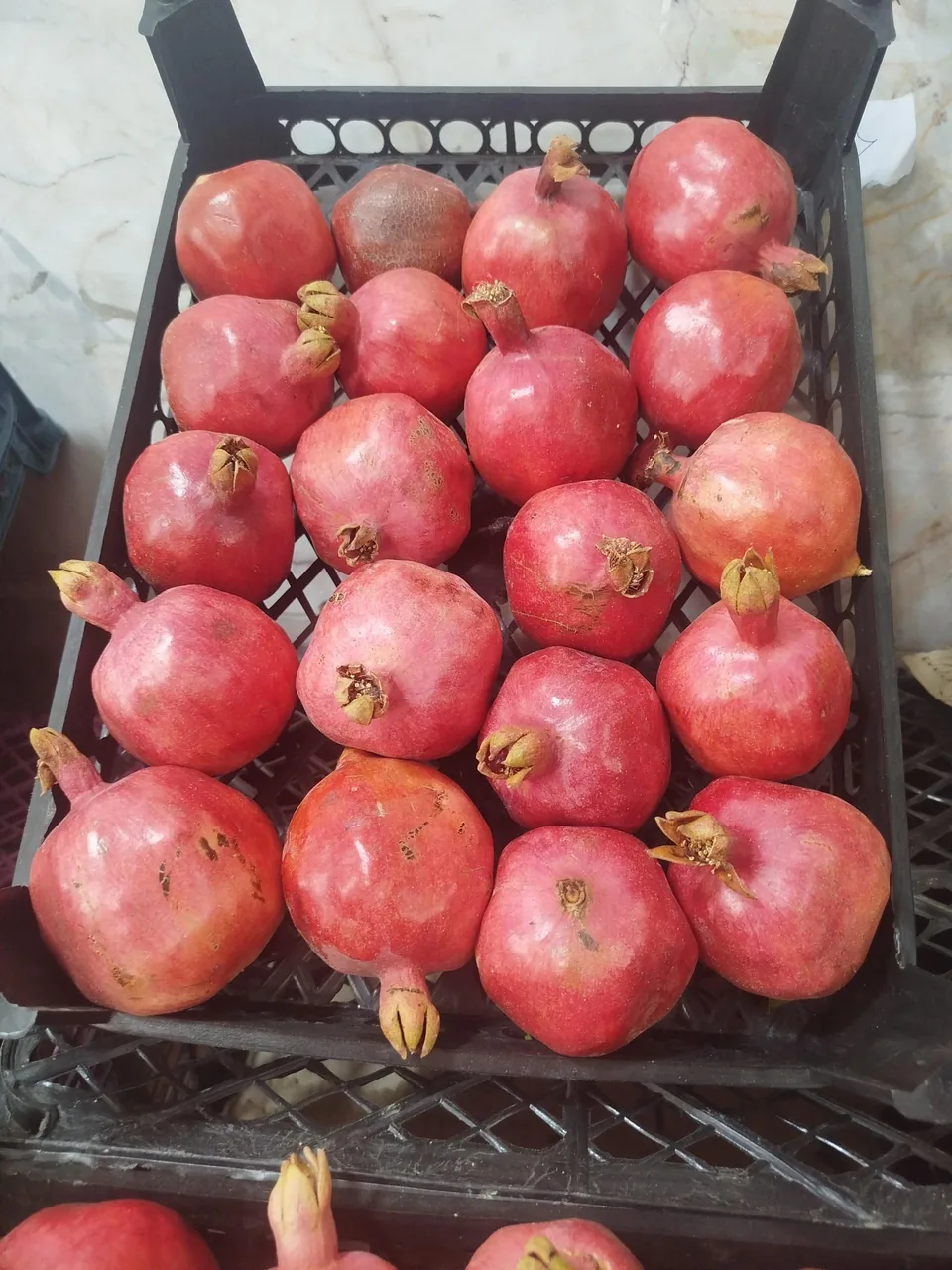 میوه فروشی سورنا - تصویر 2