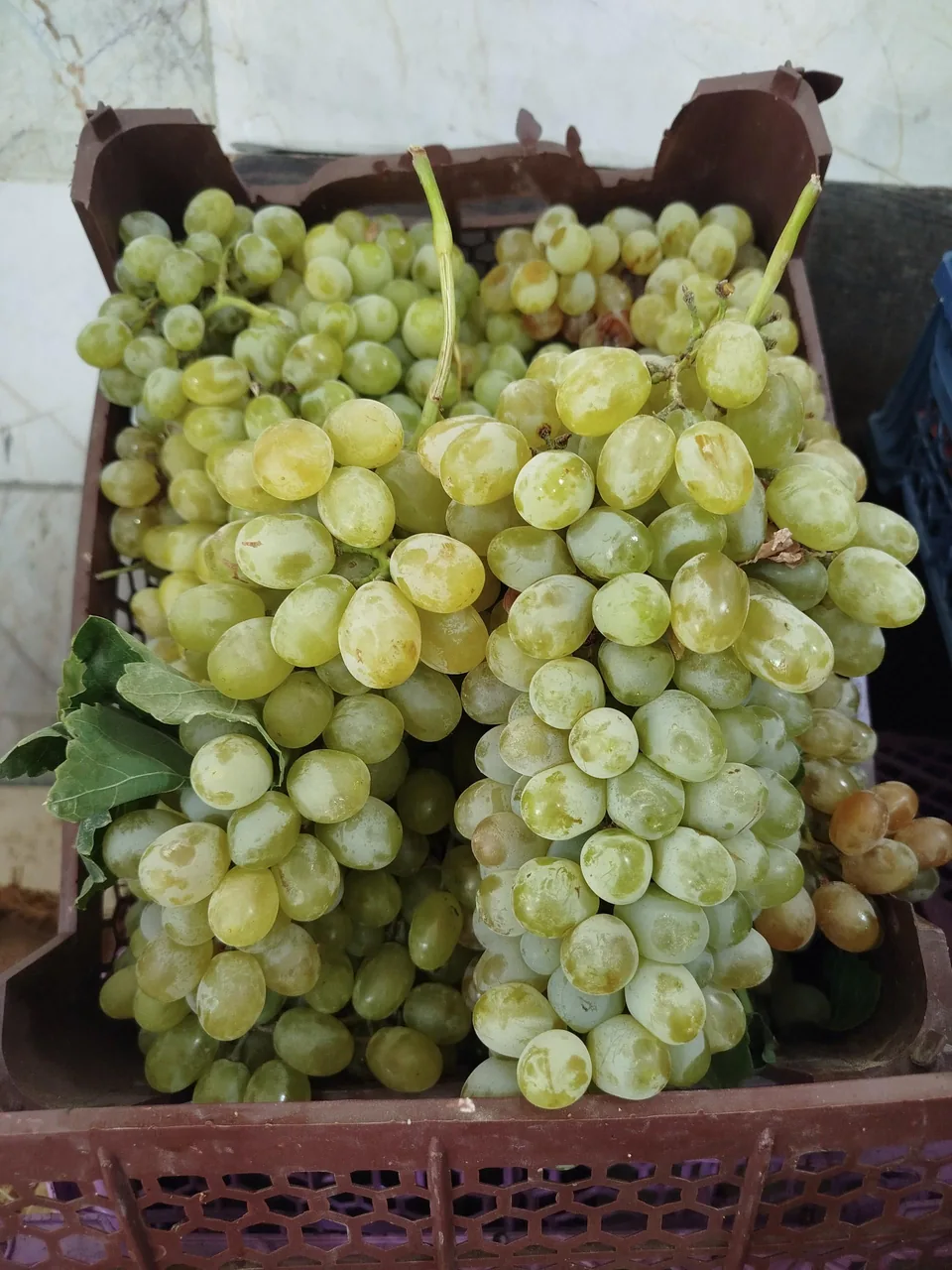 میوه فروشی سورنا - تصویر 5