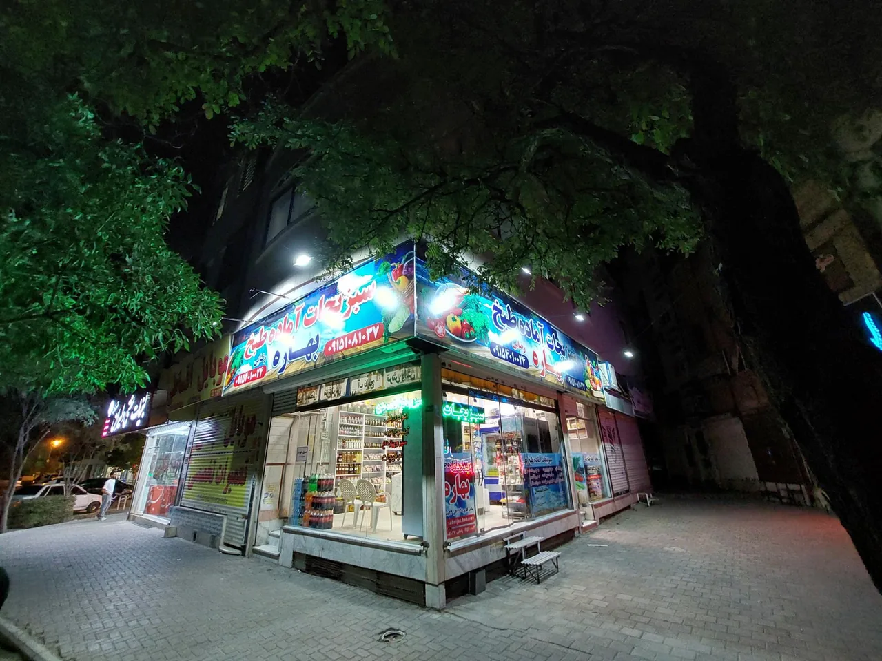 سبزیجات آماده طبخ بهاره - تصویر 2
