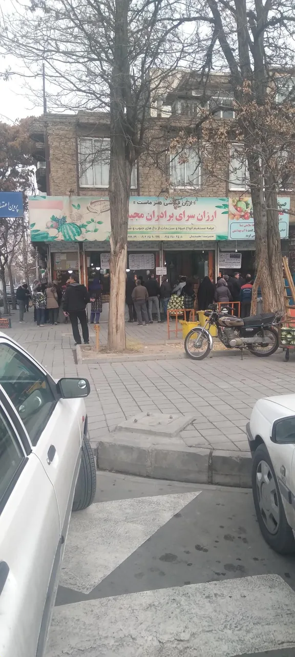 ارزان سرای میوه برادران مجیدیان - تصویر 3