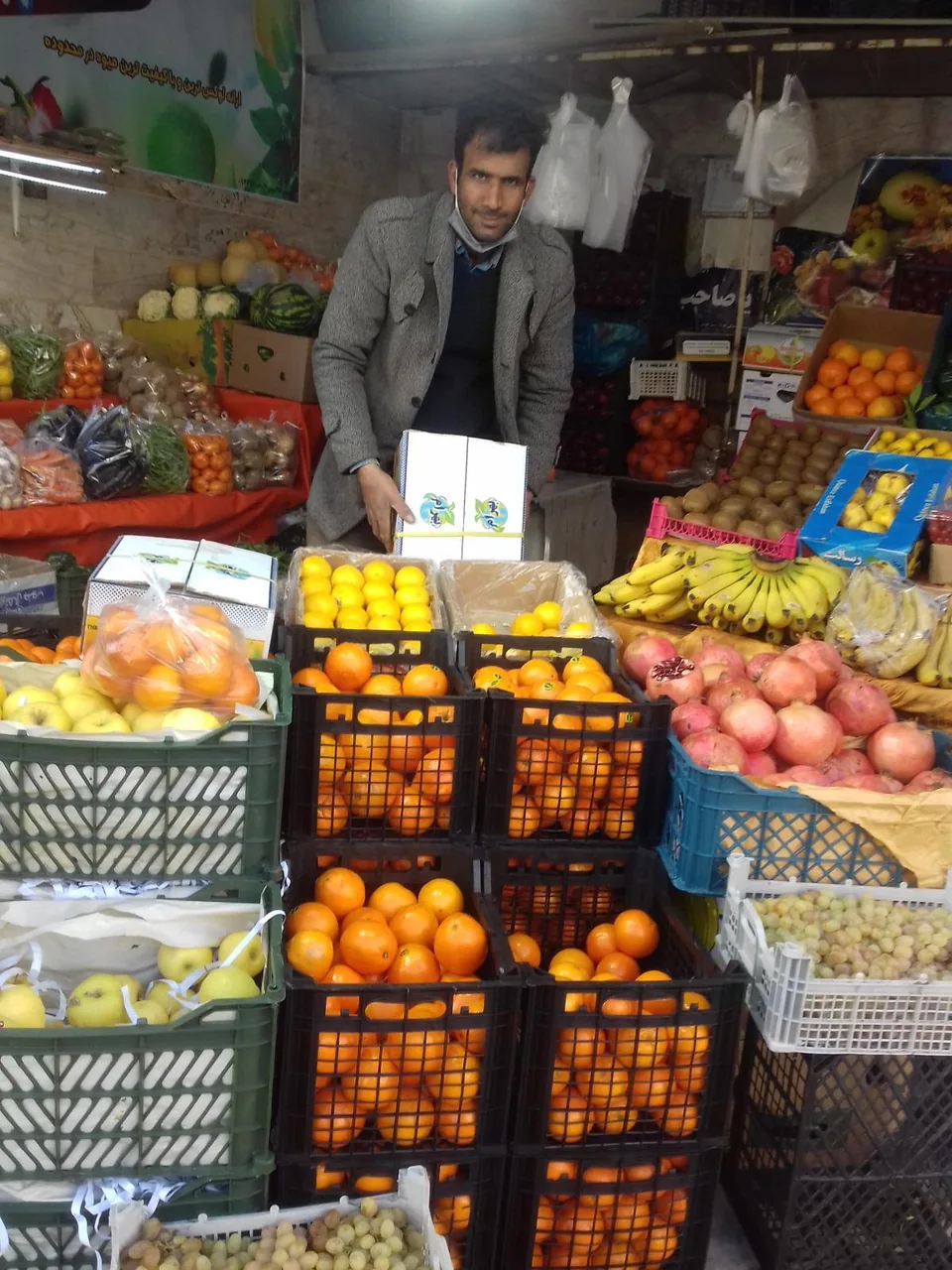 سوپر میوه مجتبی - تصویر 4