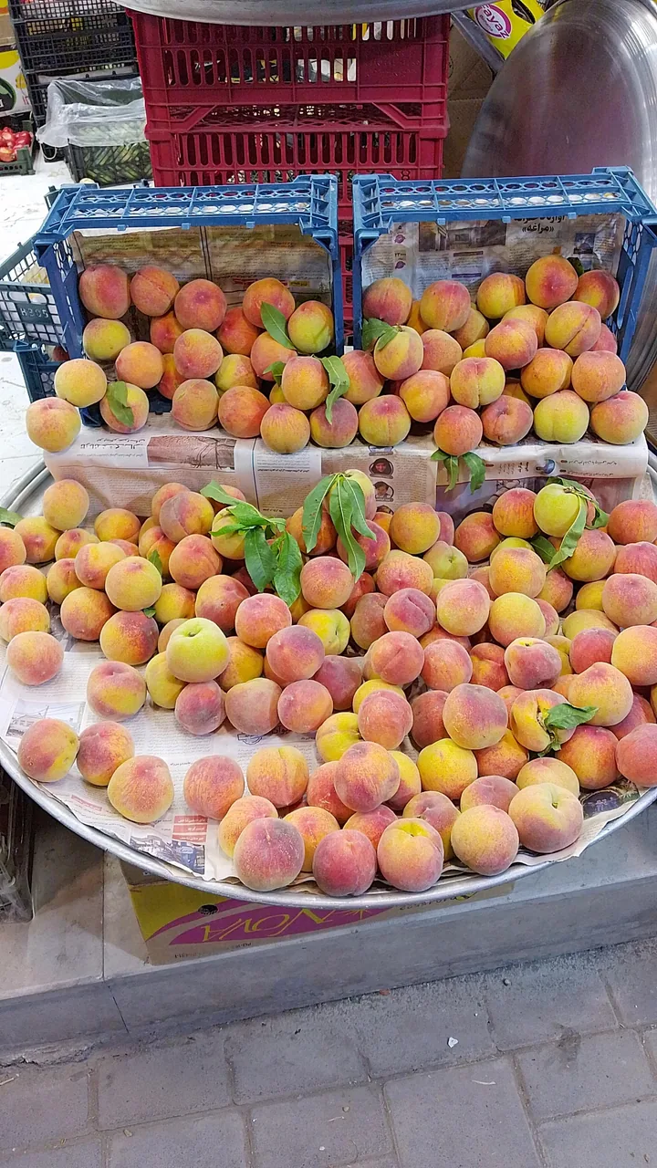 میوه سرای بهار ۶۵ - تصویر 5