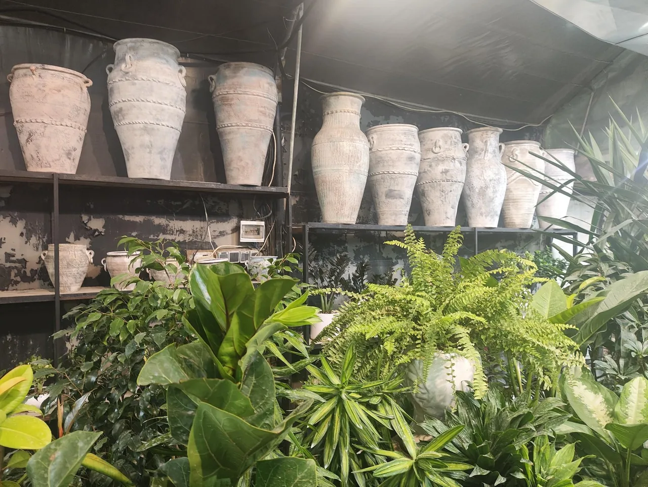گل و گیاه عطر برگ