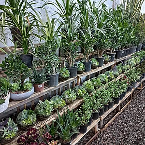 گلخانه علی قطبی