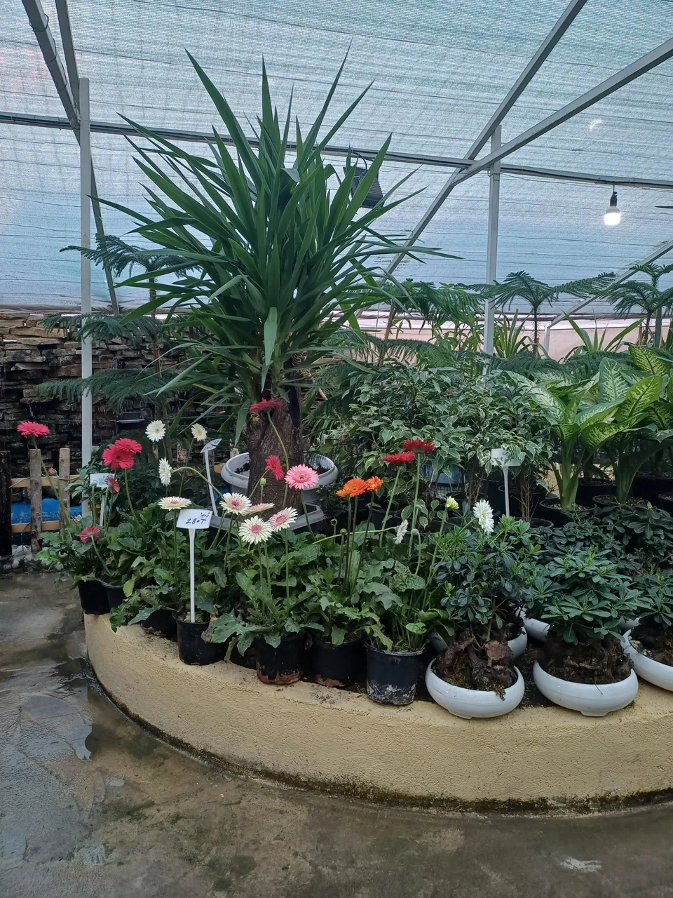 طبیعت سبز قلب آسیا - تصویر 4