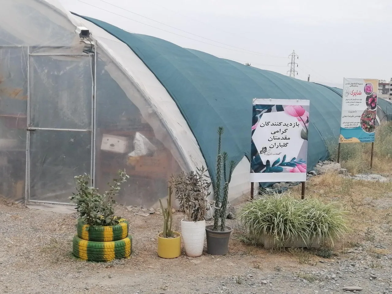 گلخانه شاپرک مهندس علیرضا شفایی - تصویر 3
