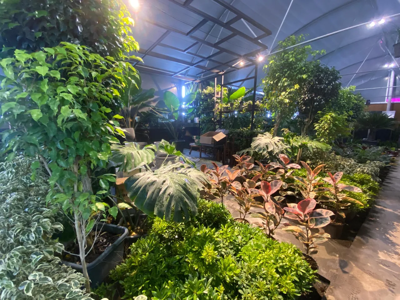کافه گلخانه وستا - تصویر 4