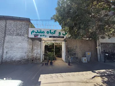 تولیدی گل و گیاه مقدم