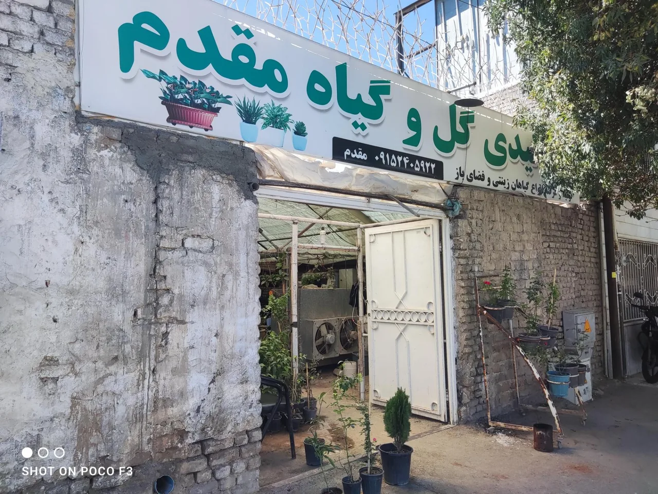 تولیدی گل و گیاه مقدم - تصویر 2