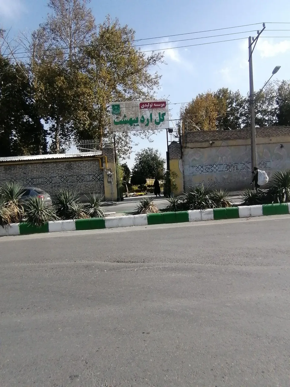 موسسه تولید گل اردیبهشت - تصویر 2