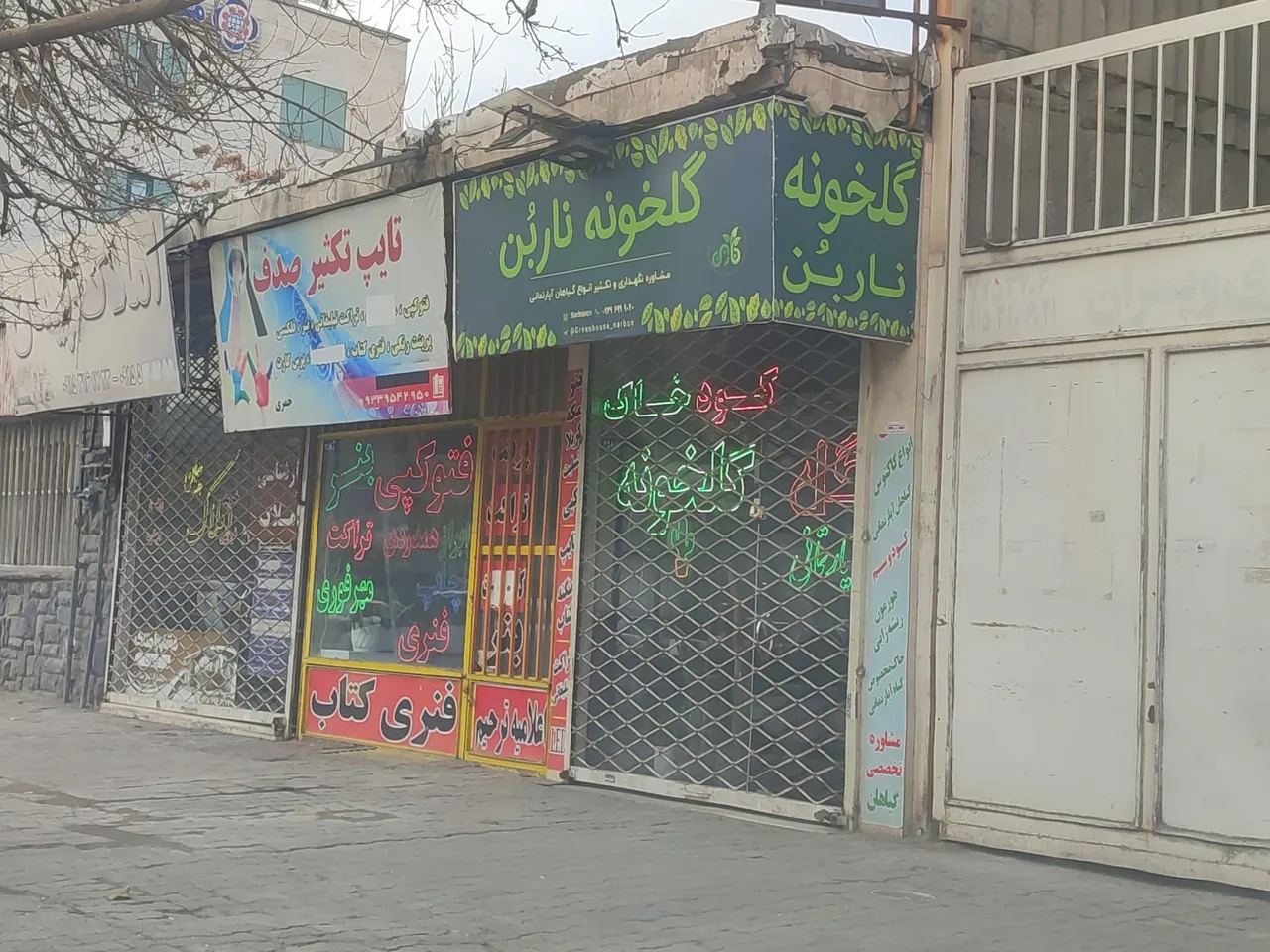 گلخانه ناربُن - تصویر 2