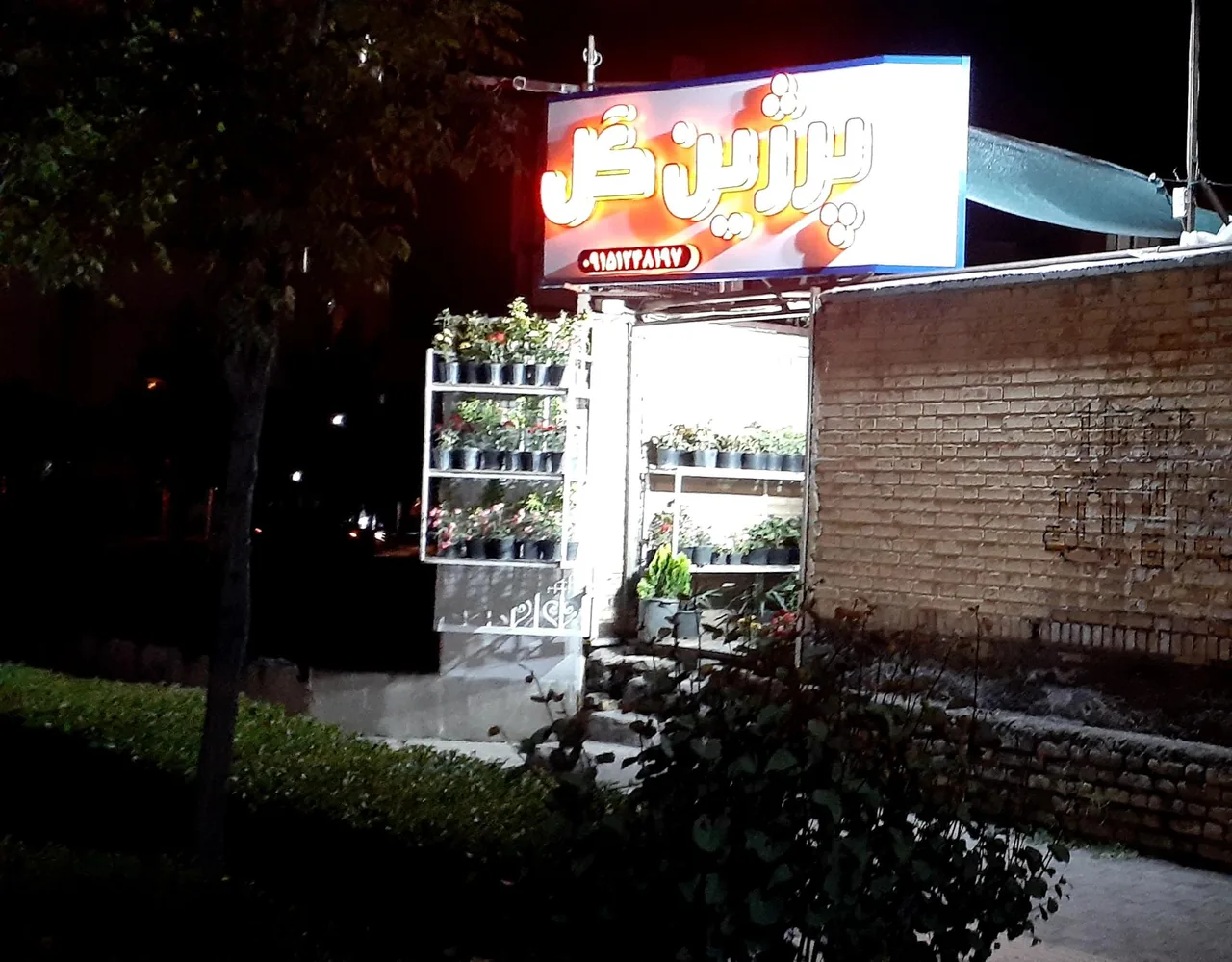 گلخانه پرژین گل - تصویر 2