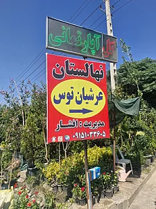 نهالستان مرکزی عرشیان توس