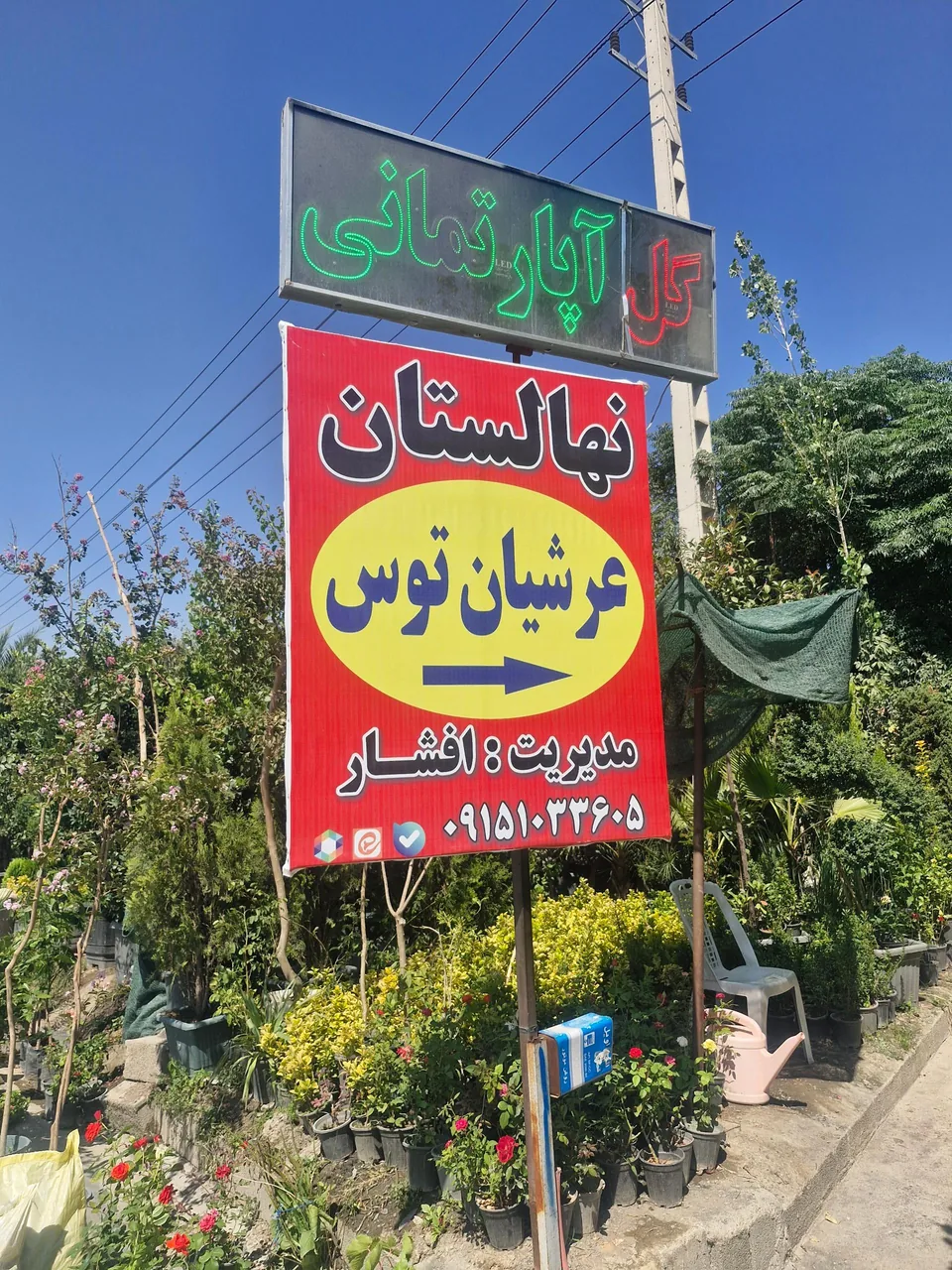 نهالستان مرکزی عرشیان توس