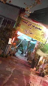گل و گیاه سعد آباد