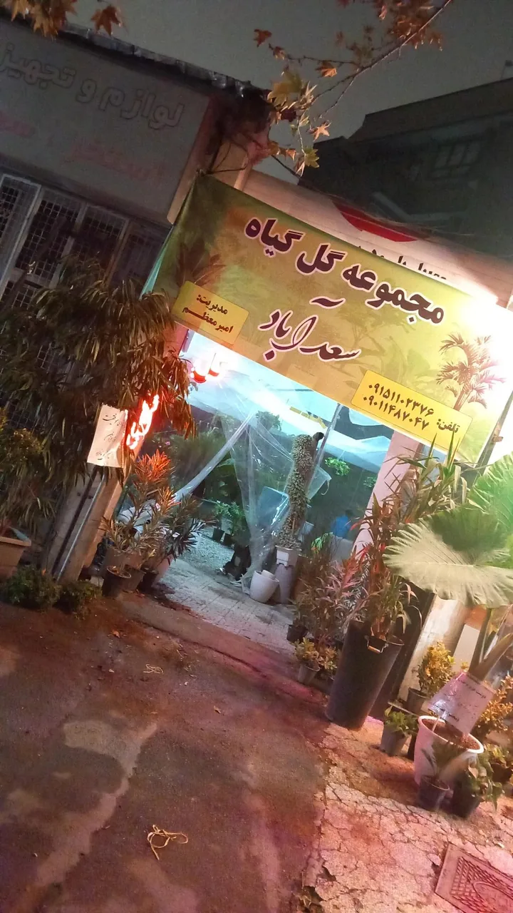 گل و گیاه سعد آباد