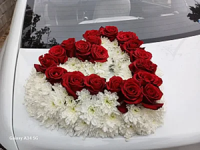 گل و گیاه نیری