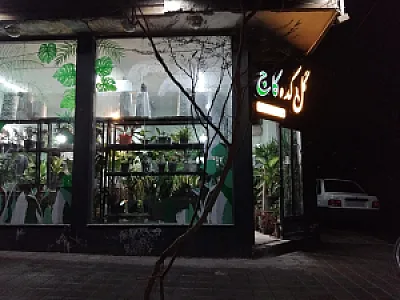 گلکده کاج