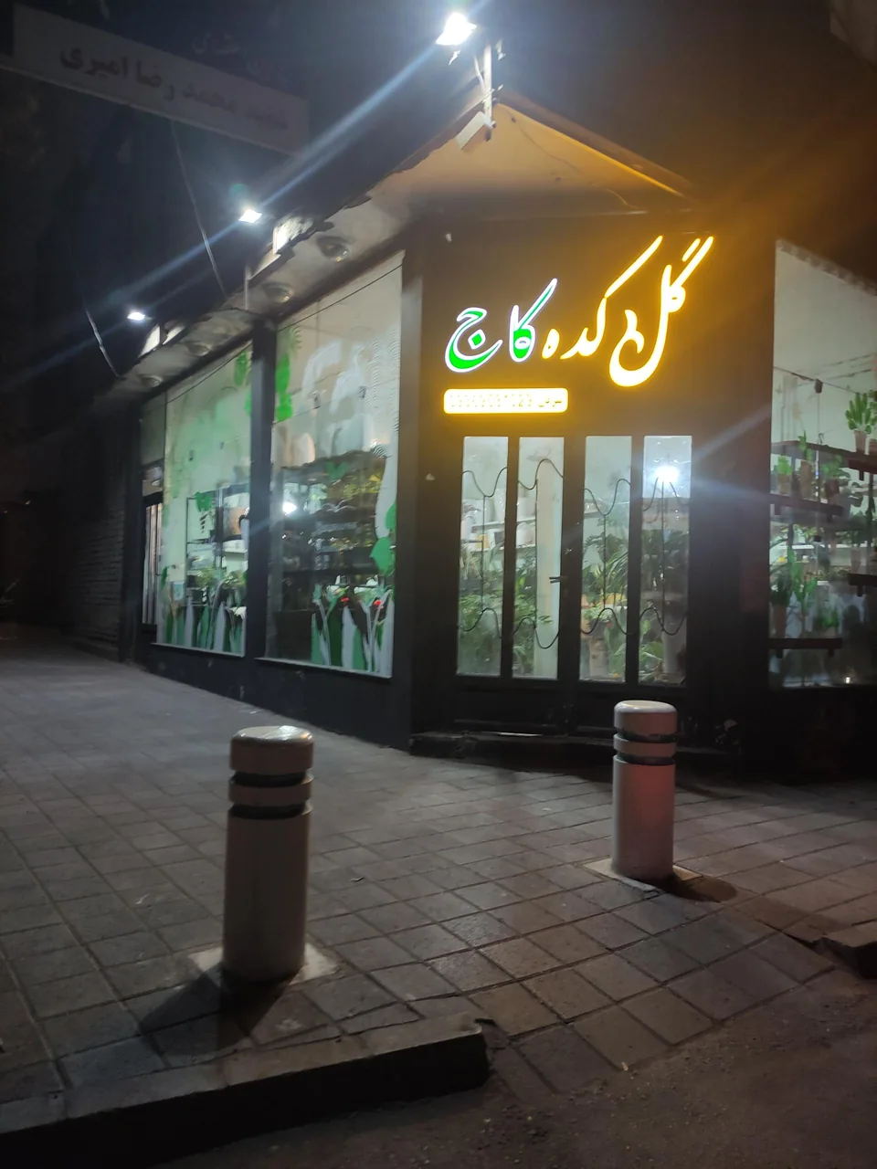 گلکده کاج - تصویر 2