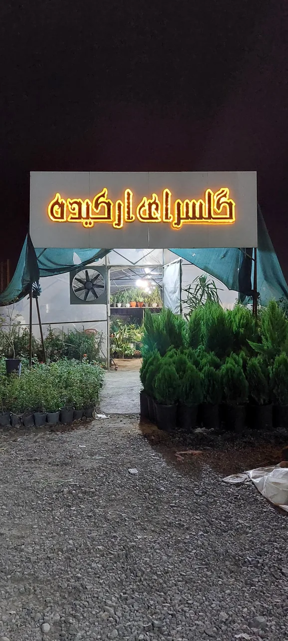 گلخانه ارکیده