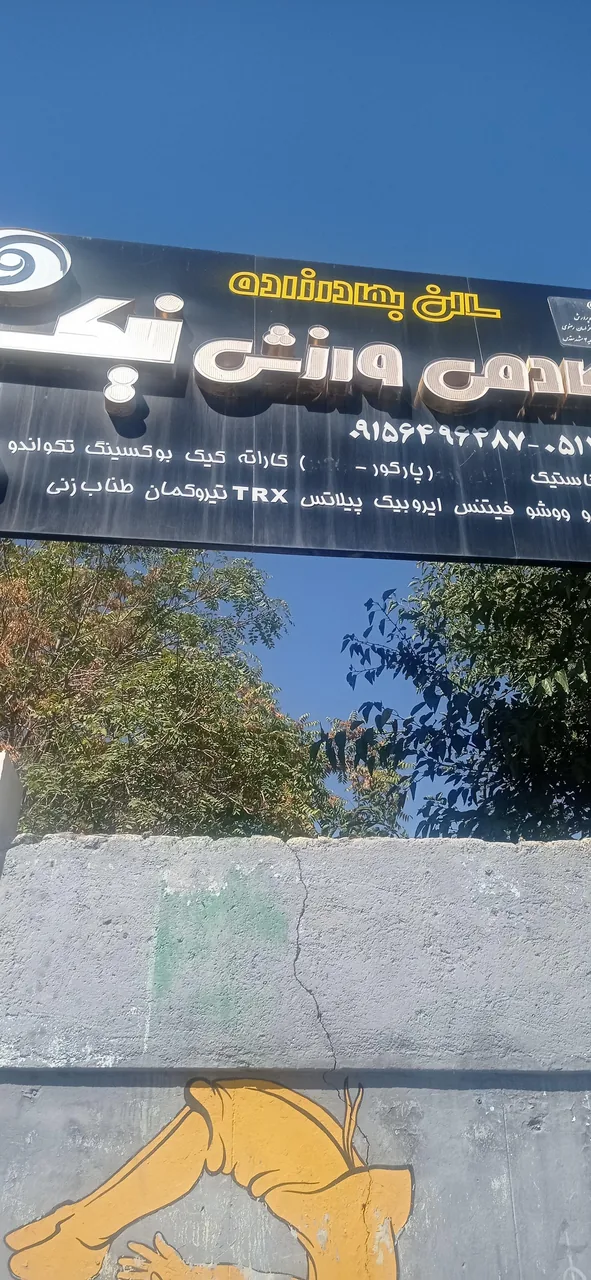 باشگاه و آکادمی ورزشی نیک - تصویر 3