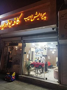 پیرایش ادیب