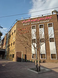 بیمارستان امدادی شهید کامیاب