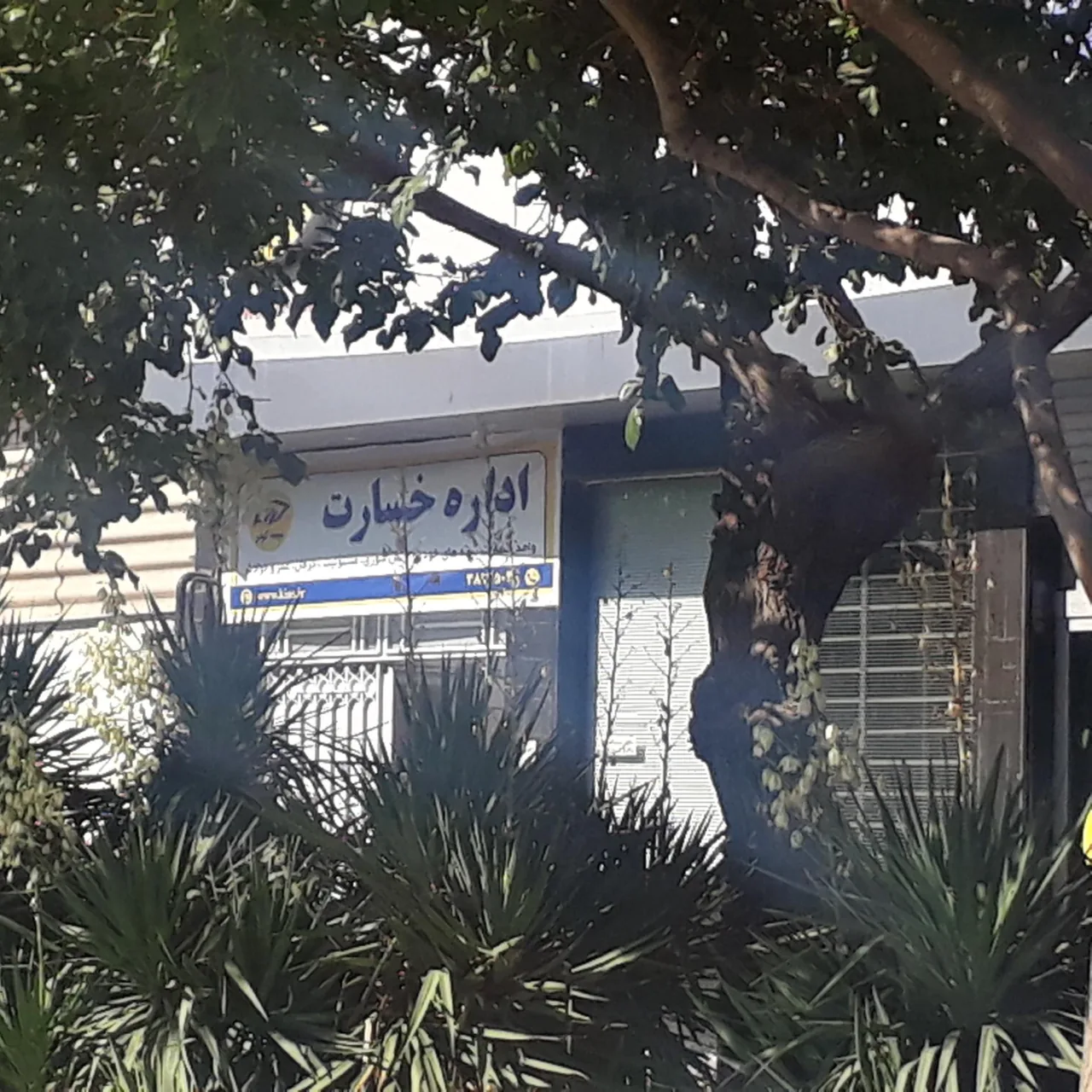 واحد خسارت بیمه کوثر - تصویر 5