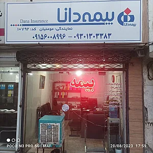 بیمه دانا