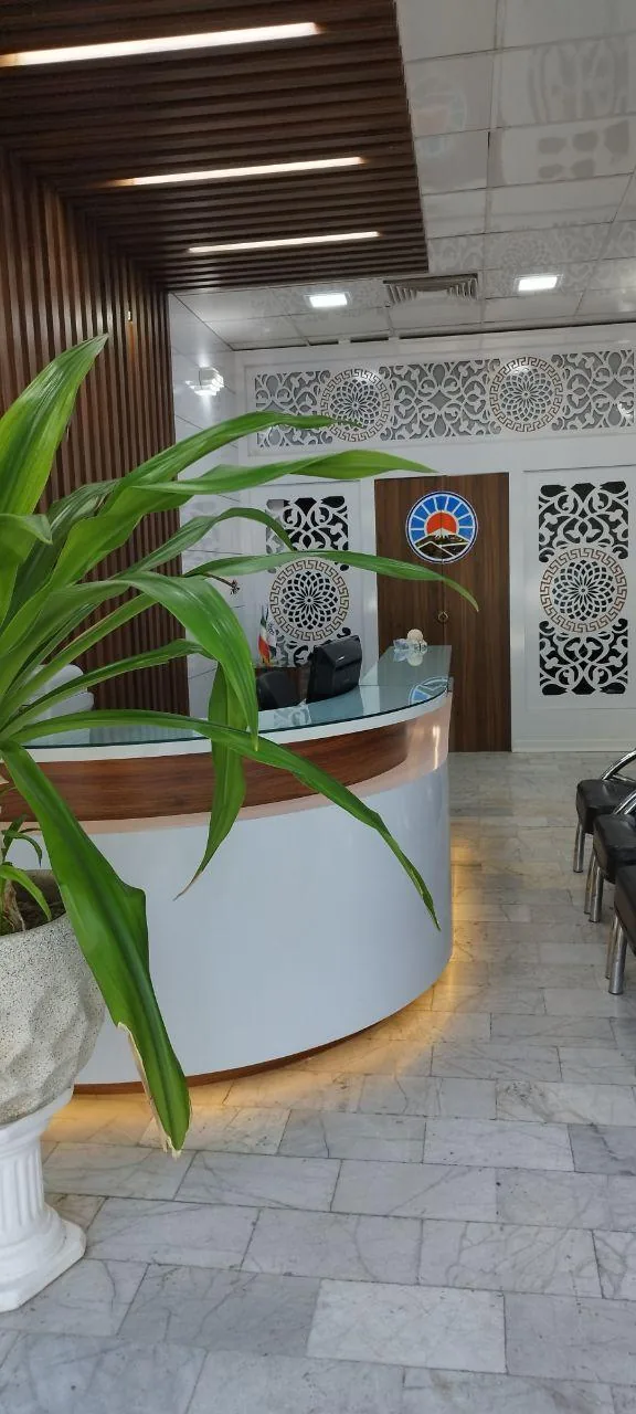 بیمه ایران نمایندگی حسینی - تصویر 3
